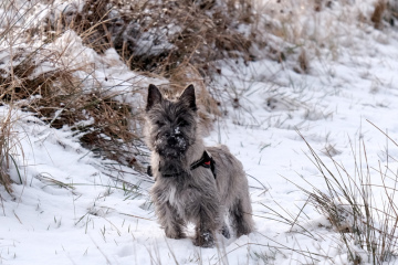 09A5A576-CB3E-4443-8956-8A054EE9D979