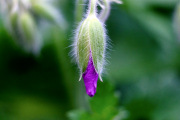 C79217B9-731B-4B0D-B14A-45C2DF8BE33C