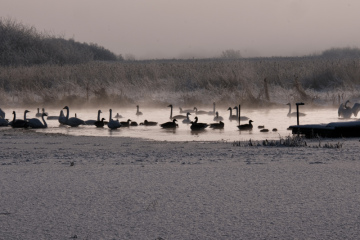 DC903A9D-1AE6-4B9C-8B93-B025BC81B9E6