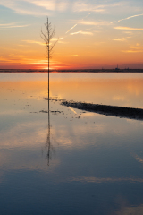 Solnedgang ved Mandø Ebbevej 30. juni 2022