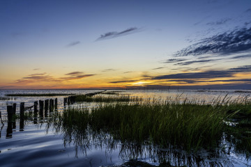 Solnedgang ved Mandø Ebbevej juli 2024