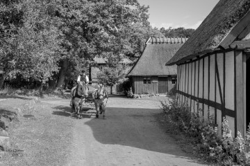 Den Fynske Landsby