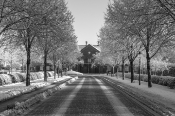 Banegårdsalléen i Ribe december 2022