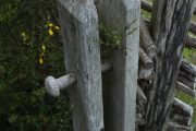 Claus-Pedersen-2-scaled