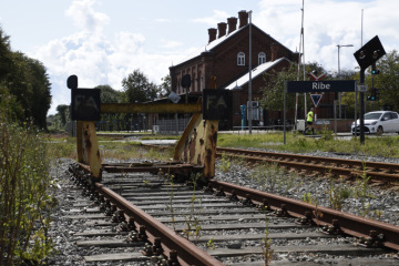 DSC4910