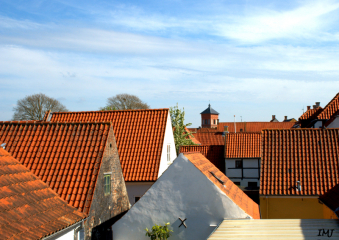 1-DSC_0408
