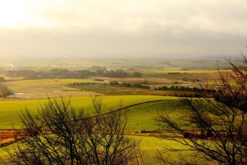 IMG_0783
