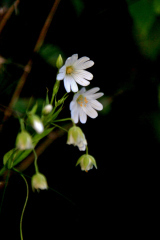 thumbs_IMG_2570